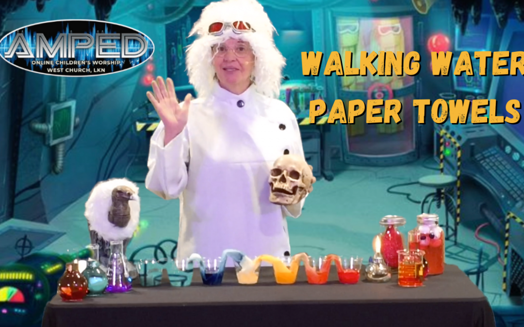 Walking Water Paper Towels