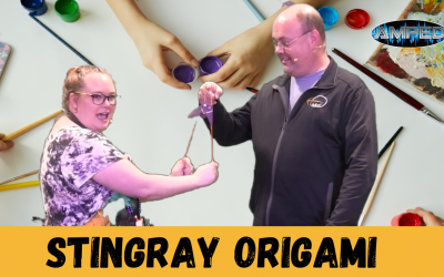 Origami Stingray