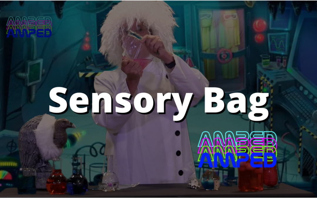 Sensory Bag